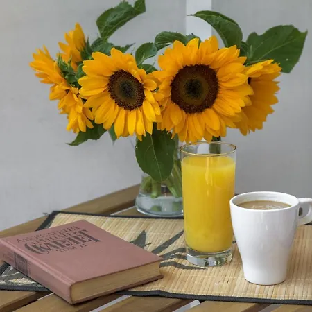 Willy-andon ヴァルナ