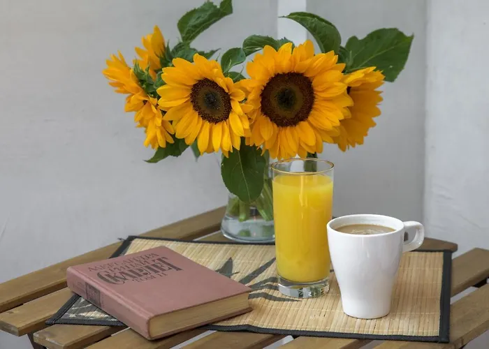 Willy-andon 바르나